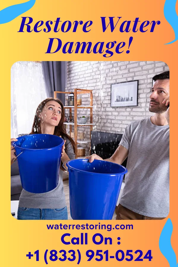 water restoration Total Sewage Cleanup Brothers Stetsonville