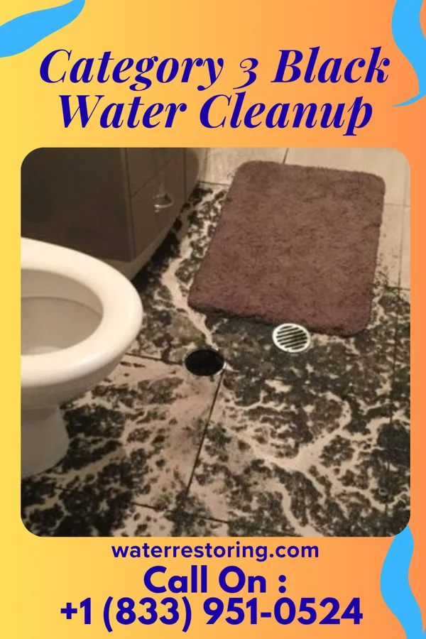 Category 3 Black Water Cleanup in Stetsonville, WI