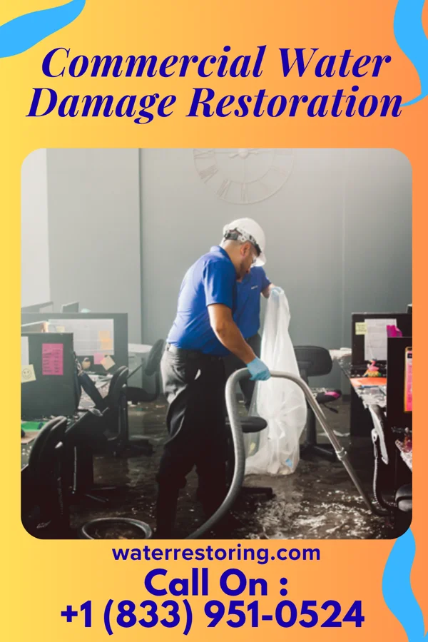 Commercial Water Damage Restoration in Stetsonville, WI
