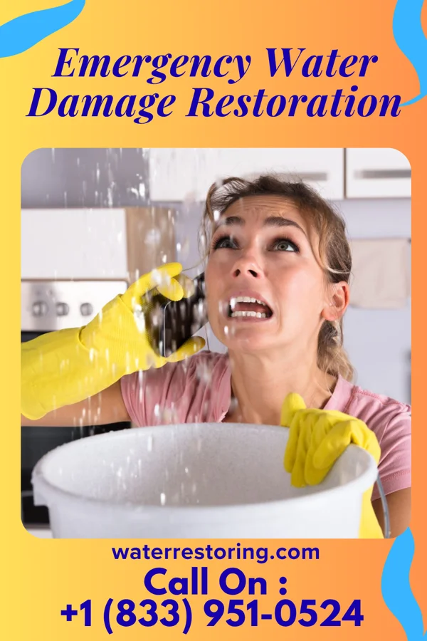 Emergency Water Damage Restoration in Stetsonville, WI