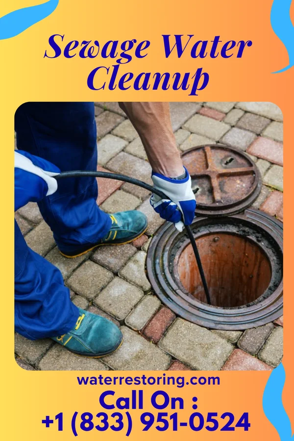 Sewage Water Cleanup in Stetsonville, WI